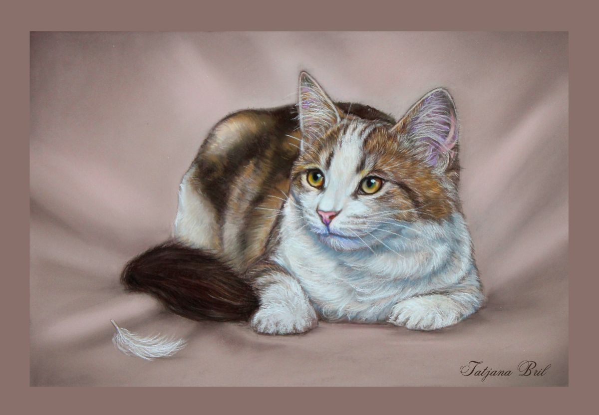 Calico cat (2016) Pastel drawing by Tatjana Bril | Artfinder