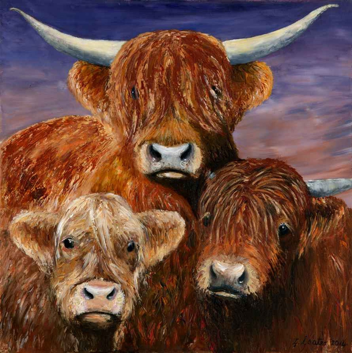 highland cattle prints