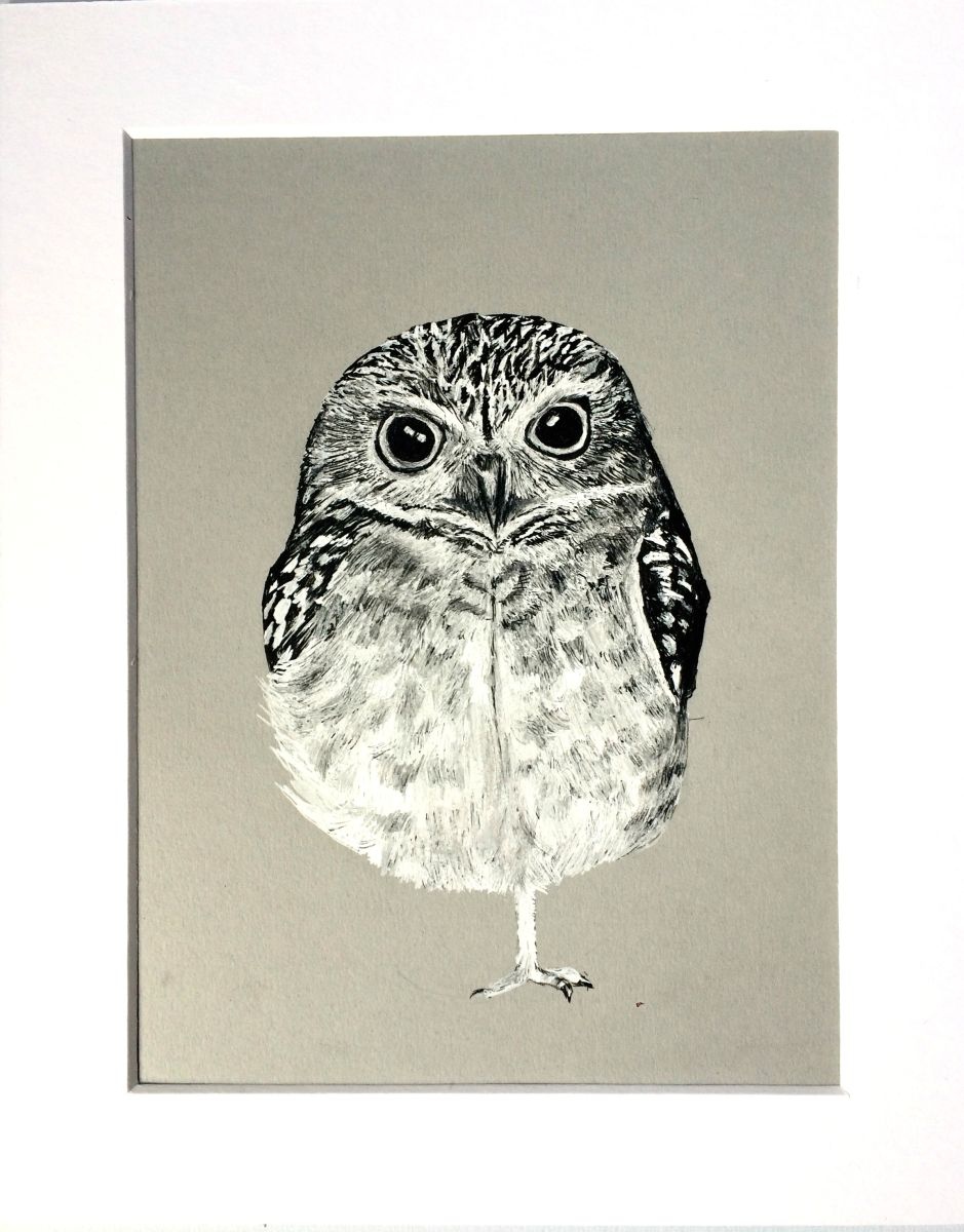 Little Owl  Portrait Original Ink 2022 Ink drawing  by 