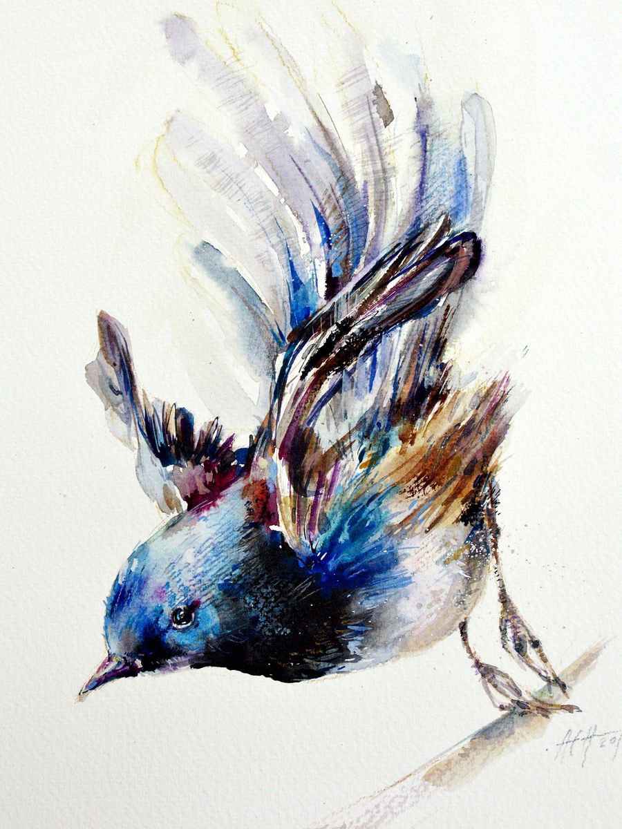 fairy wren in flight Watercolour by Anna Maria | Artfinder